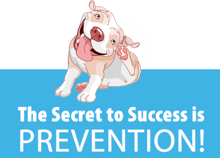 The Key to Success is Prevention